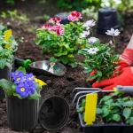 Pynqdfu 60 Pcs 1 Gallon Plant Nursery Pots,Plastic Seed Starter Pot with Drainage Holes,Plastic Plant Pots for Planting,Cuttings,Transplanting,Home Garden(Black)