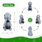 Dog Solar Garden Statue with Lantern – Outdoor Patio & Yard Decor – Figurine for Dogs – Gift for Mom, Grandma, Dog Lovers, Housewarming Present