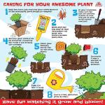 Fresh Roses for Delivery Prime, Red Roses, Knockout Roses Live Rose Bush Plants, Indoor Rose Plant Lover Gifts, Fresh Flowers for Delivery Prime, Live Plants Outdoor Plants Live by Plants for Pets