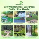 Outsidepride Perennial White MiniClover Seed - 1 lb. Dwarf, Small-Leaved, Drought & Wear-Tolerant Micro Clover Seeds for Lawn, Ideal Low-Maintenance & Easy to Grow Ground Cover Seeds for Home Yard