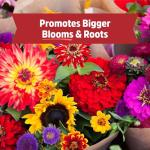 Back to the Roots 100% Organic Bone Meal | Made in The USA | Premium Nutrition for Indoor and Outdoor Plant Gardening