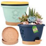 gegemaoyi Plastic Plant Pots 10 Inch Set of 4, Self Watering Pots with Drainage Holes, Saucer & Reservoir, Flower Pots for Indoor/Outdoor Plants, Decorative Nursery Planting Pots (Multicolor)