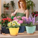 gegemaoyi Plastic Plant Pots 10 Inch Set of 4, Self Watering Pots with Drainage Holes, Saucer & Reservoir, Flower Pots for Indoor/Outdoor Plants, Decorative Nursery Planting Pots (Multicolor)