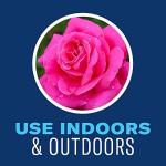 BioAdvanced Houseplant Insect & Mite Control, Ready-to-Use, 24 oz