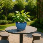 Deep Dream 6 Inch Plant Pots- Ceramic Planter Pot with Drainage Hole and Saucer, Round Flower Pot for Indoor Outdoor Succulent, Snake Plants and Cactus, Blue