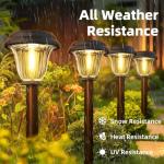 DERAYSION Solar Lights Outdoor 6 Pack, Stainless Steel Glass Solar Pathway Lights, Auto On/Off Long-Lasting Waterproof Landscape Lighting for Garden, Landscape, Path, Yard, Warkway (Warm White)