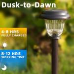 DERAYSION Solar Lights Outdoor 6 Pack, Stainless Steel Glass Solar Pathway Lights, Auto On/Off Long-Lasting Waterproof Landscape Lighting for Garden, Landscape, Path, Yard, Warkway (Warm White)