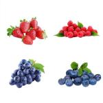 1000+ Mixed Berry Seeds for Planting - Grape, Blueberry, Raspberry & Strawberry - Non-GMO & Organic Seeds, Ideal for Home Garden