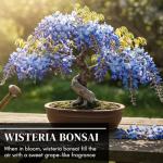 Blue Moon Wisteria Vine Plant - Hummingbird Magnet