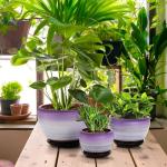 SOUJOY Set of 3 Ceramic Flower Pots, Gardening Plant Pot with Drainage Holes and Saucer, 7/5/4 inch Purple Round Succulent Herbs Cactus Planter for Indoor Outdoor