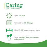 Bonnie Plants Citronella, Live Plant, 2.32 qt. 2-Pack