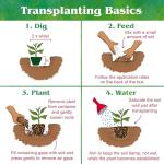 Down To Earth All Natural Fertilizers Organic Acid Mix - Plant Food for Blueberries, Raspberries, Azaleas and Rhododendrons 4-3-6, 5 lb