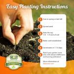 Monarch Butterfly Rescue Wildflower Seeds 4oz. Bulk Open-Pollinated Wildflower Seed Packet, No Fillers, Annual, Perennial Milkweed Seeds for Monarch Butterfly 4 oz