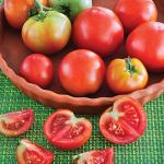 Bonnie Plants Patio Tomato, 19.3 oz., 4-Pack, Live Plants