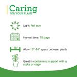 Bonnie Plants Patio Tomato, 19.3 oz., 4-Pack, Live Plants