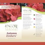 1 Gallon Encore Azalea Autumn Embers Shrub