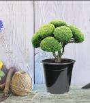 Niiiice 32-Pack 1.5 Gallon Nursery Pots, Thickened Soft Seed Starting Container for Indoor Outdoor Plants,Seedlings, Vegetables, Succulents and Cuttings (Black)