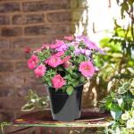 Niiiice 32-Pack 1.5 Gallon Nursery Pots, Thickened Soft Seed Starting Container for Indoor Outdoor Plants,Seedlings, Vegetables, Succulents and Cuttings (Black)