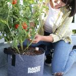 Back to the Roots Self-Watering Terracotta Olla Pot (Pack of 3), 700mL Provides 1 Week of Precision Watering