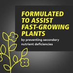 General Hydroponics CALiMAGic 1-0-0, Concentrated Blend of Calcium & Magnesium, Secondary Nutrient Deficiencies Helps Prevent Blossom End Rot & Tip Burn, Clean, Soluble, 1-Quart