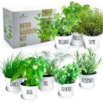 Deluxe Indoor & Outdoor Herb Garden Kit – 8 or The Most Popular Culinary Herbs with Pots & Soil for Windowsill or Patio Growing
