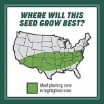 Pennington Smart Seed Sun and Shade Tall Fescue Grass Seed Mix for Southern Lawns 3 lb