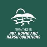 Pennington Smart Seed Sun and Shade Tall Fescue Grass Seed Mix for Southern Lawns 3 lb