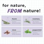 Earth's Ally 3-in-1 Plant Spray 24 oz Ready-to-Use | Better Than Neem Oil | Insecticide, Fungicide & Spider Mite Control for Organic Gardening, Pest Repellent for Indoor Houseplants & Outdoor Gardens