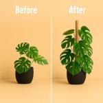 Craft911 Moss Pole Monstera Plant Support – 2 Pack 28” Bendable Moss Pole Monstera Plant Support, Plant Stakes for Indoor Plants, Tall Plant Sticks Support for Climbing Plants