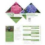 2 Gallon Proven Winners Hydrangea Let’s Dance Rhythmic Blue Shrub
