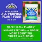 Pennington Water Soluble All Purpose Plant Food 20-10-20 8/1.5lb