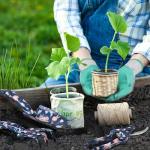 WORKPRO Aluminum Garden Tool Set, 4PCS Heavy Duty Hand Garden Tools with Box Include Trowel, Rake, Pruner, Garden Gloves, Floral and Insect Printing, Garden Gifts