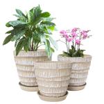 Plant Pots Indoor 7.5/6.5/5.5 Inch Set of 3 Plastic Planters for Indoor Plants with Drainage Hole and Saucer, Plastic Flower Pots, Nursery Planting Pot for Out Door Plants