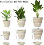 Plant Pots Indoor 7.5/6.5/5.5 Inch Set of 3 Plastic Planters for Indoor Plants with Drainage Hole and Saucer, Plastic Flower Pots, Nursery Planting Pot for Out Door Plants