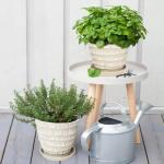 Plant Pots Indoor 7.5/6.5/5.5 Inch Set of 3 Plastic Planters for Indoor Plants with Drainage Hole and Saucer, Plastic Flower Pots, Nursery Planting Pot for Out Door Plants