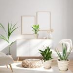 Plant Pots Indoor 7.5/6.5/5.5 Inch Set of 3 Plastic Planters for Indoor Plants with Drainage Hole and Saucer, Plastic Flower Pots, Nursery Planting Pot for Out Door Plants