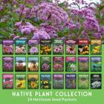 Native Plant Seeds 24 Variety Pack – Perennial & Annual North American Wildflowers, Grasses & Keystone Species for Planting Pollinator Gardens – Non-GMO Heirloom – Survival Garden Seeds