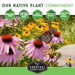 Native Plant Seeds 24 Variety Pack – Perennial & Annual North American Wildflowers, Grasses & Keystone Species for Planting Pollinator Gardens – Non-GMO Heirloom – Survival Garden Seeds
