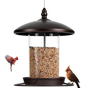 Metal Bird Feeder for Outdoor Gardens – Holds 2.5LB