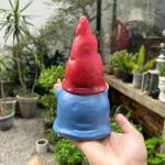 Generic Middle Finger Gnome Statue 7.8in， Naughty Garden Gnome Statue Decoration and Lawn Ornament - Funny Garden Gnomes for Outdoor or Home Decor, Red, WSH004