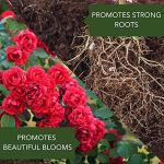 BioAdvanced All-In-One Rose and Flower Care I, Granules, 4 lb