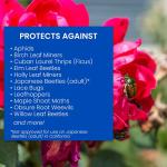 BioAdvanced All-In-One Rose and Flower Care I, Granules, 4 lb