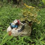 DDLUZQual Cute Planter Pot Suitable for Indoor and Outdoor, Small gnome Resin Succulent Plant Flower pots, Decorative Fun Flower pots with Drainage Holes, Ideal Home and Garden Decoration Gifts