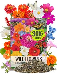Seed Needs Wildflower Seeds Butterfly and Hummingbird Seed Mix 2 Ounce No Filler | 23 Varieties Annual & Perennial Species Such as Butterfly Milkweed, Cosmos & Zinnia | Resealable Bulk Package