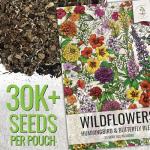 Seed Needs Wildflower Seeds Butterfly and Hummingbird Seed Mix 2 Ounce No Filler | 23 Varieties Annual & Perennial Species Such as Butterfly Milkweed, Cosmos & Zinnia | Resealable Bulk Package