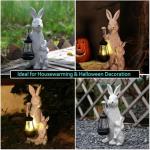 REYISO Solar Garden Statues Bunny Decor with LED Lights Home Decorations Outdoor Garden Rabbit Statue for Patio, Balcony, Yard, Lawn Ornament - Unique Housewarming Birthday Gifts for Women
