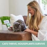 The Cat Ladies 100% Organic Cat Grass Seeds - Cat Grass for Indoor Cats - (Non GMO) 8 oz