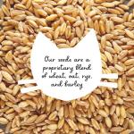 The Cat Ladies 100% Organic Cat Grass Seeds - Cat Grass for Indoor Cats - (Non GMO) 8 oz