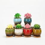 SJBAG Cute Circular Ceramic Home Garden Decoration Succulent Cactus Flower Pots Container with Bamboo Tray -Plant Not Included (Blue, 3.9 Inch)