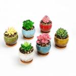 SJBAG Cute Circular Ceramic Home Garden Decoration Succulent Cactus Flower Pots Container with Bamboo Tray -Plant Not Included (Blue, 3.9 Inch)